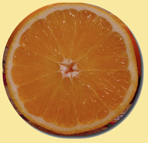 Sicilian Oranges .bio