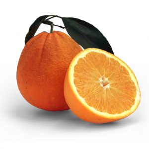 🍊 Bio-Orangen aus Sizilien, Frisch geerntetes